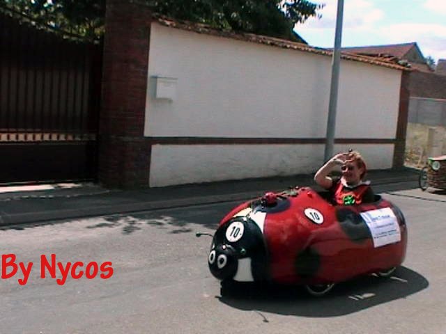 Coccinella 020.jpg